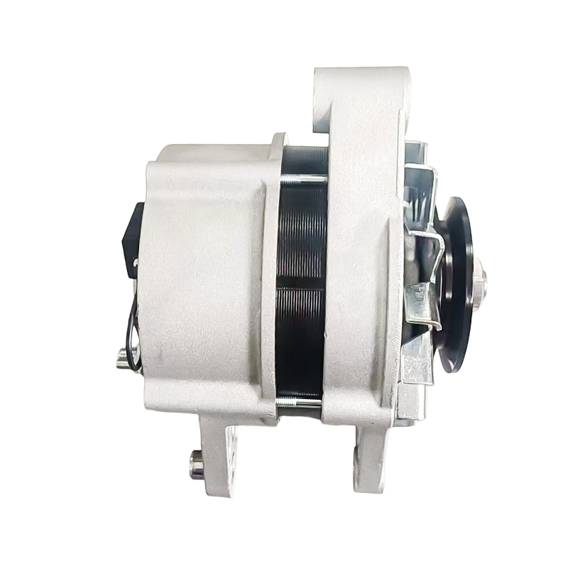 MG791 AAK4653 IA1616 11204629 72442837 AAK4653 12V 120A 8PK62mm ISKRA / LETRIKA Alternateurs